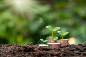 The,Tree,Is,Growing,On,A,Pile,Of,Coins,With Young plants growing from soil on stacks of coins, symbolizing financial growth and investment in a green, natural setting.