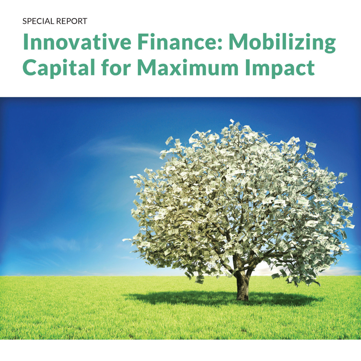 Innovative Finance Report Thumbnail A tree with leaves made of money in a grassy field under a clear blue sky, symbolizing financial growth and abundance.