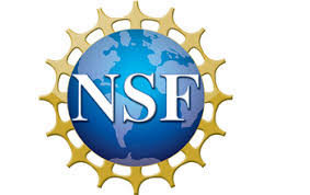 NSF Logo NSF