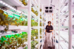 The vertical farms at the Philadelphia Zoo, white shelving with green plants growing indoors
