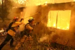 Two firefighters battle a fire in an enflamed building surrounded by trees.