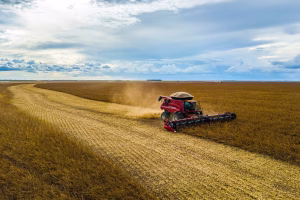 a mower cuts a swathe through a field with a cloudy sky in the background.